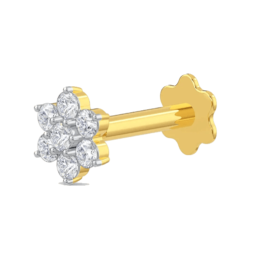 Silver Hoop Nose Ring